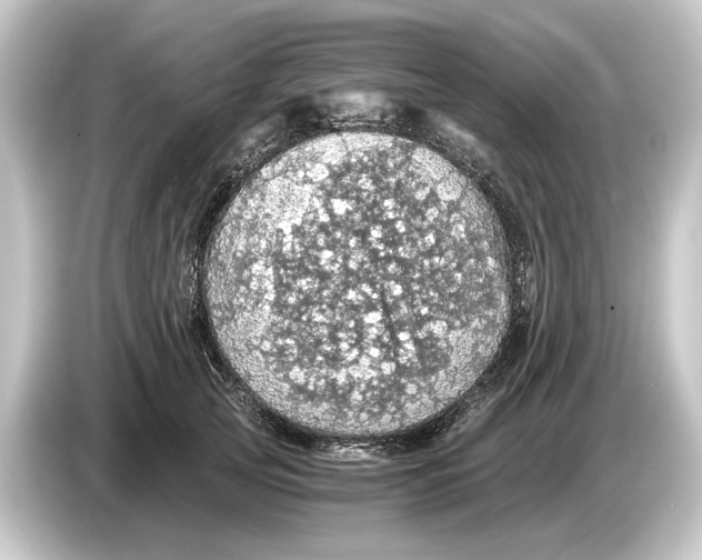 X0000084530753200703161608