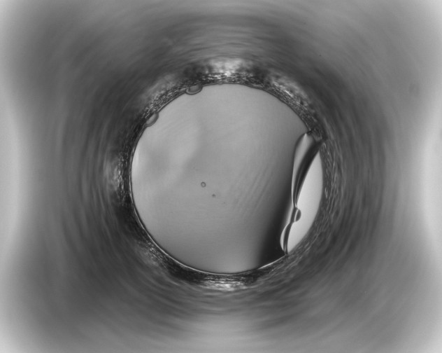 X0000084530754200703161608