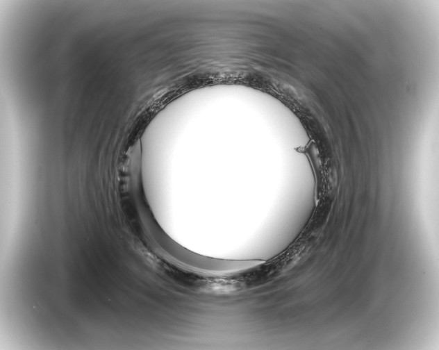 X0000084530756200703161608