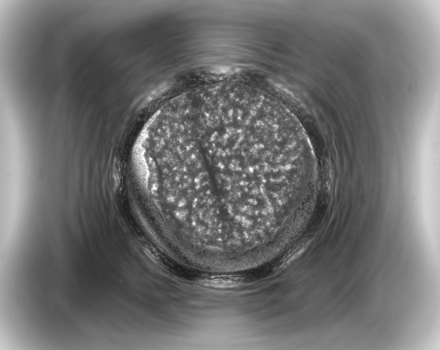 X0000084530758200703161608