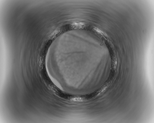 X0000084530759200703161608