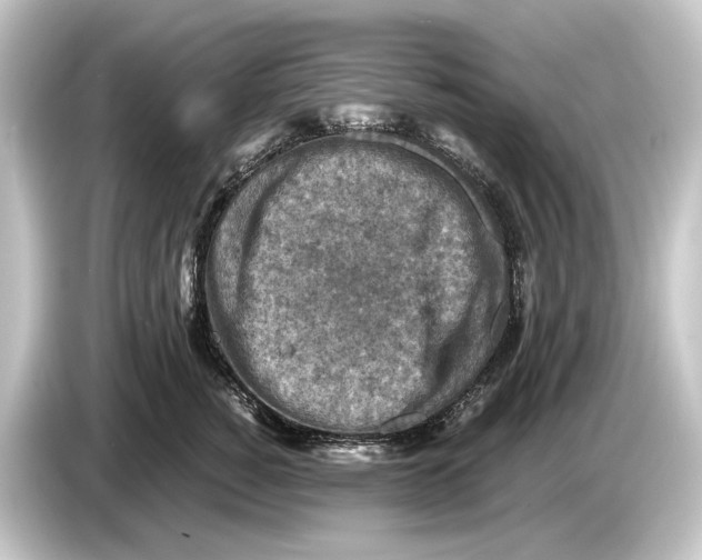 X0000084530760200703161608