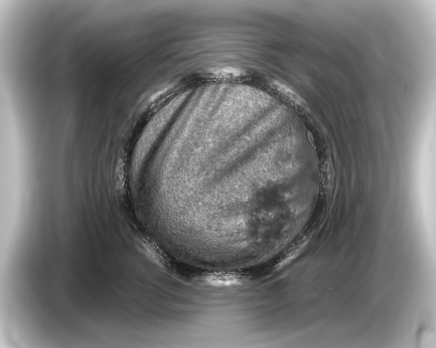 X0000084530762200703161608