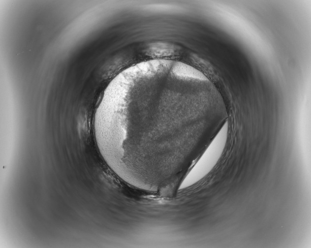 X0000084530763200703161608