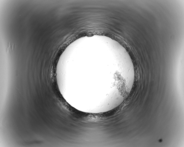 X0000084530764200703161608