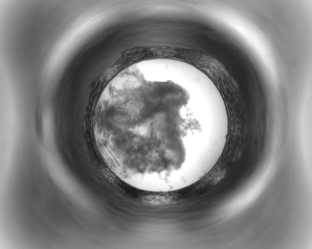 X0000084530765200703161608