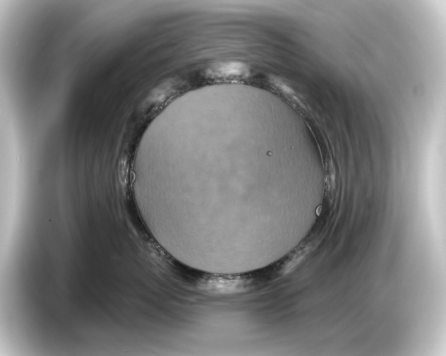 X0000084530767200703161608