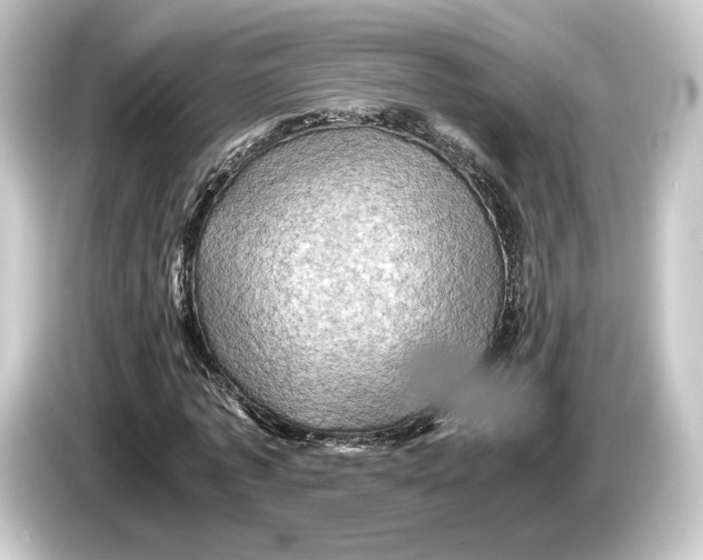 X0000084530773200703161607