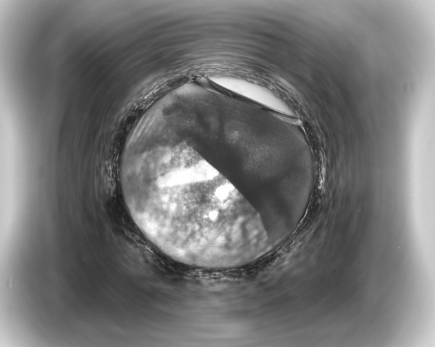 X0000084530774200703161607