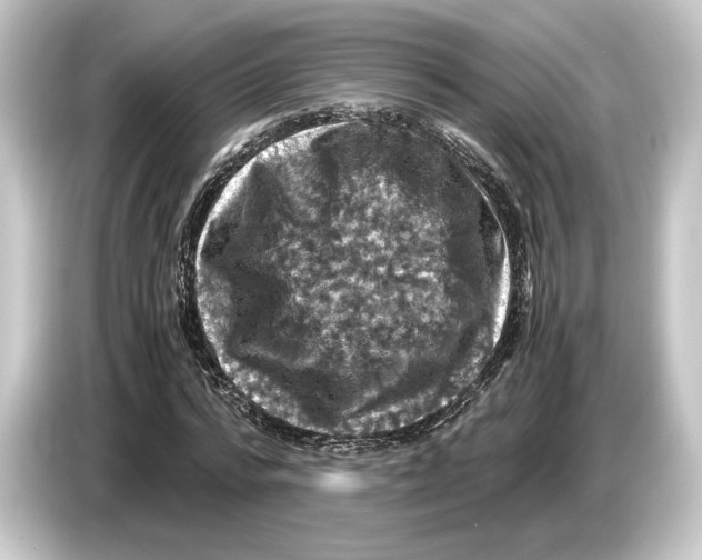 X0000084530776200703161607