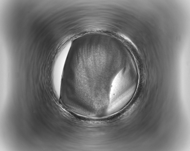 X0000084530777200703161607