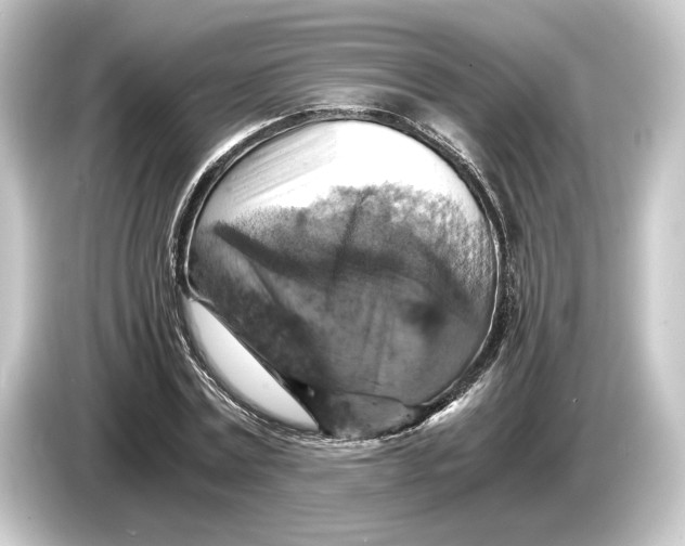 X0000084530779200703161607