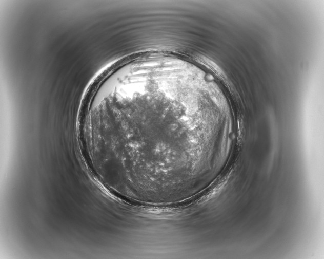 X0000084530780200703161607