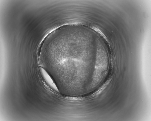 X0000084530781200703161607