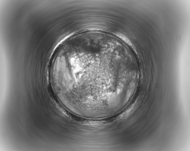 X0000084530782200703161607