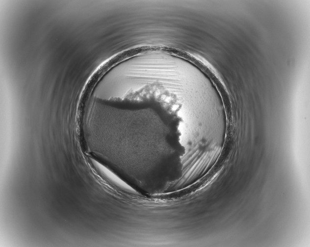 X0000084530783200703161607