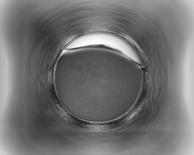 X0000084530785200703161607