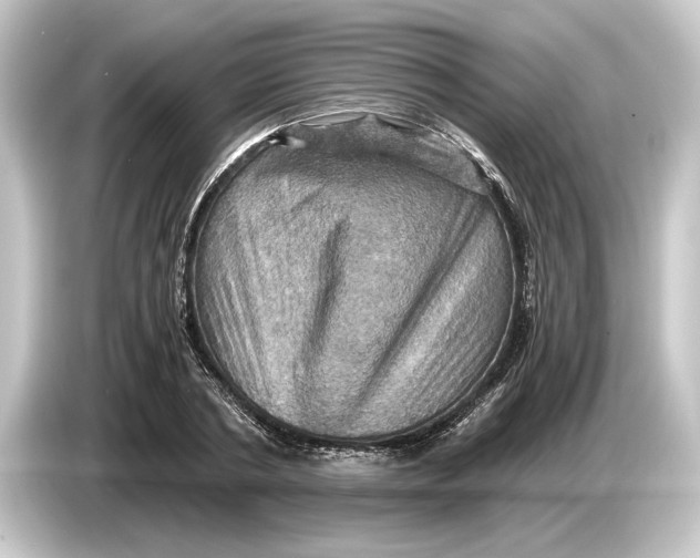 X0000084530786200703161607