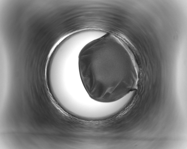 X0000084530788200703161607