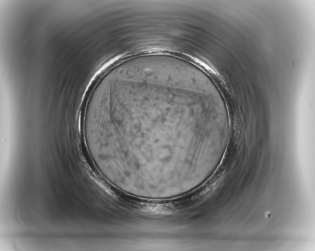 X0000084530790200703161607