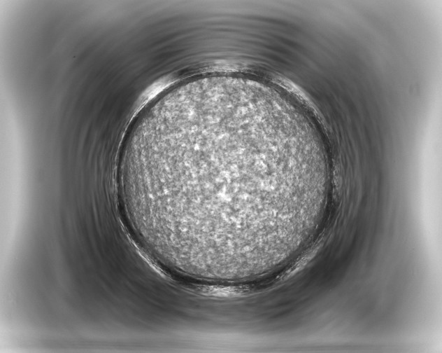 X0000084530794200703161607