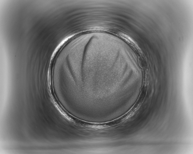 X0000084530796200703161607