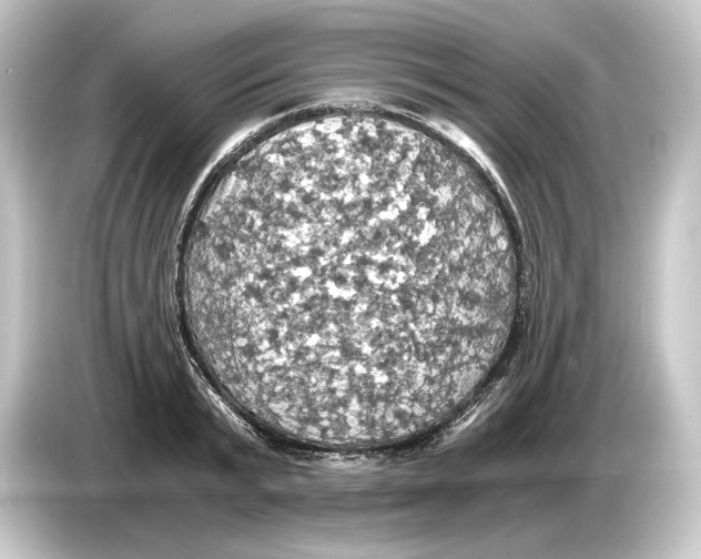 X0000084530799200703161607