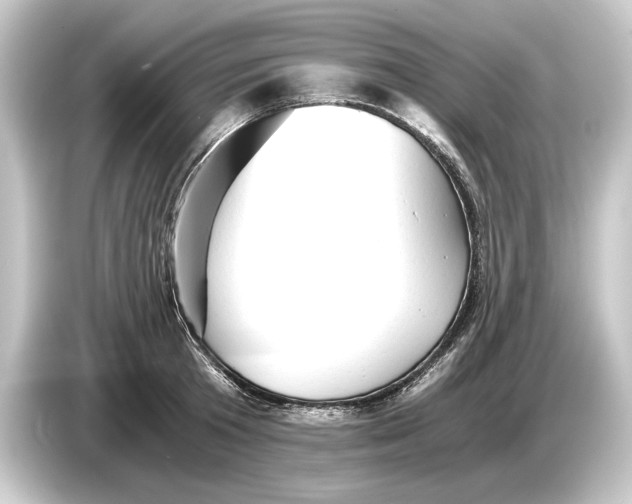 X0000084530801200703161607