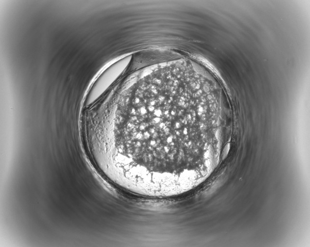 X0000084530803200703161607