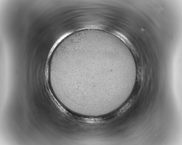 X0000084530804200703161607