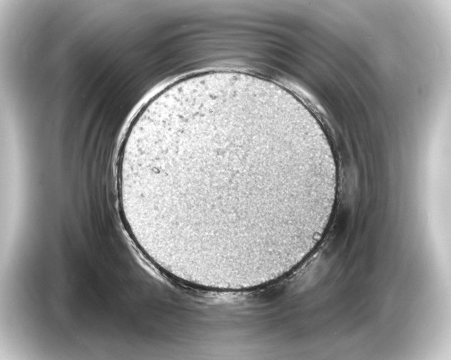 X0000084530808200703161607