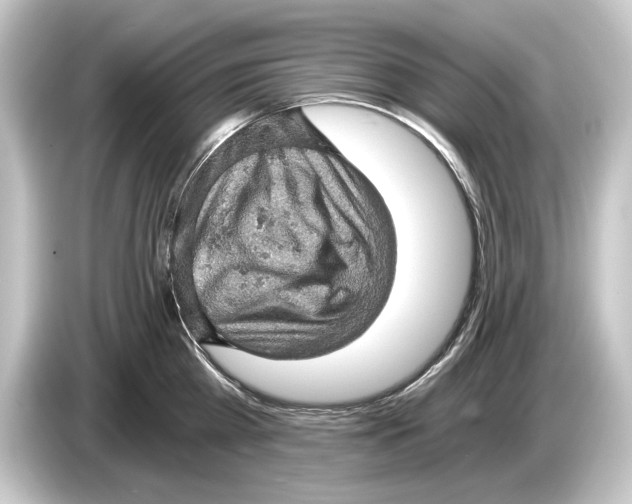 X0000084530809200703161607