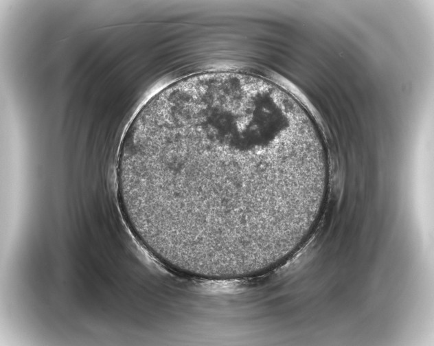 X0000084530810200703161607