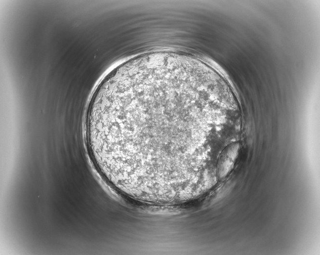 X0000084530811200703161607