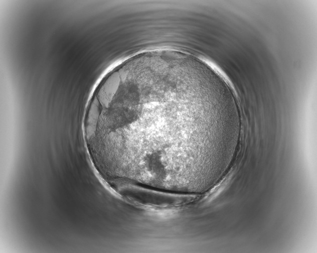 X0000084530813200703161607