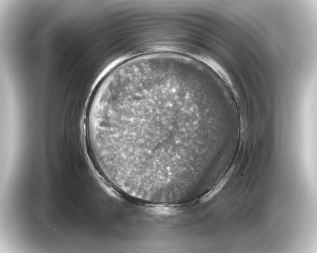 X0000084530814200703161607