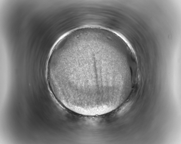 X0000084530815200703161607