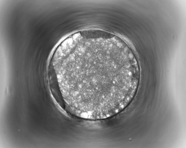 X0000084530816200703161607