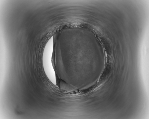 X0000084530818200703161606