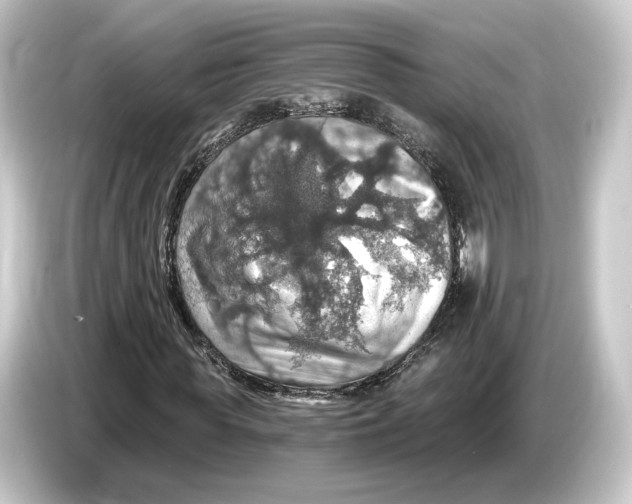 X0000084530819200703161606