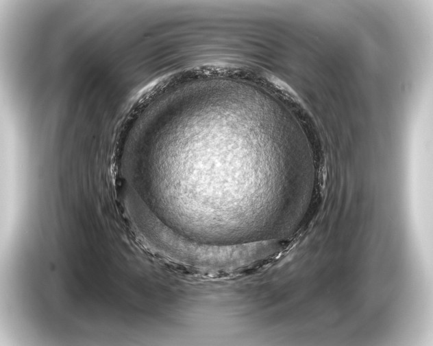 X0000084530822200703161606