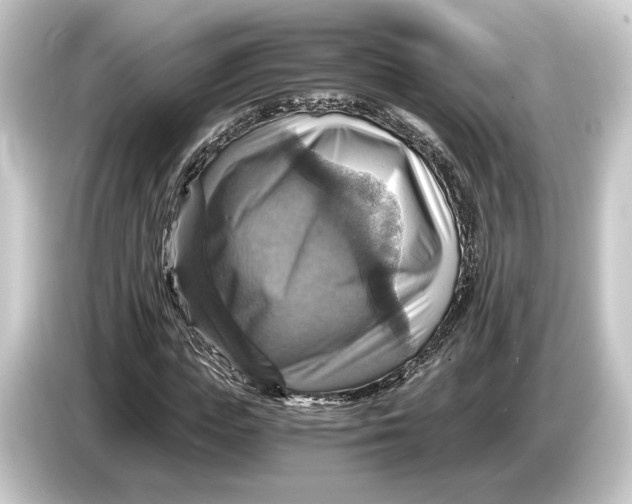 X0000084530823200703161606