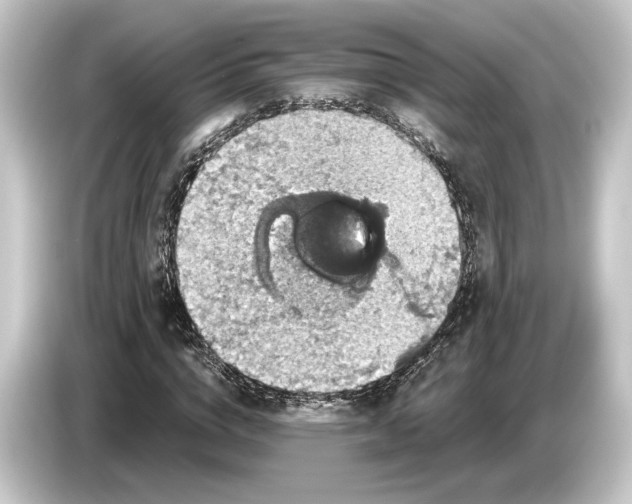 X0000084530824200703161606