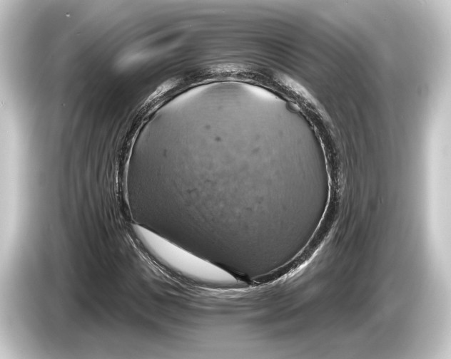 X0000084530825200703161606