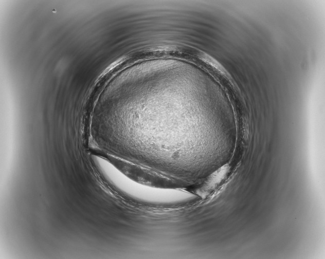 X0000084530826200703161606