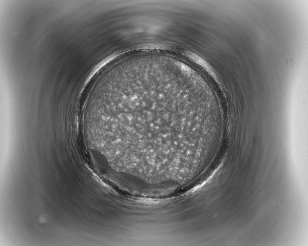 X0000084530829200703161606