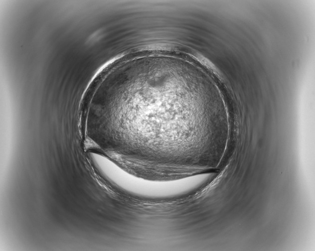 X0000084530830200703161606