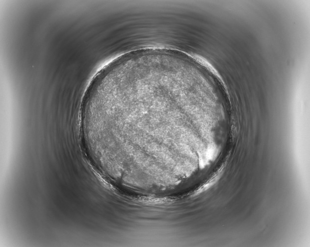 X0000084530831200703161606