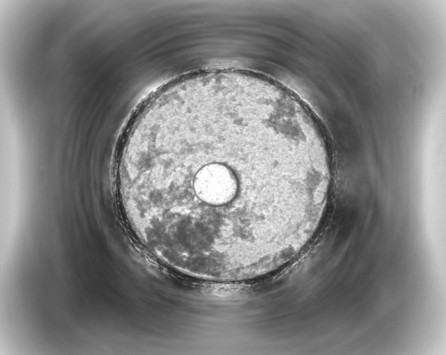 X0000084530832200703161606