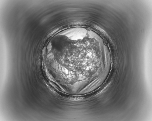 X0000084530833200703161606